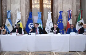Copresidente de la Asamblea de Eurolat en su decimocuarta edición en Argentina