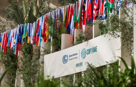 Javi López participa en la COP28 de Dubai como miembro de la delegación del Parlamento Europeo
