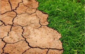 adaptació climàtica catalunya europa