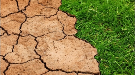 adaptació climàtica catalunya europa