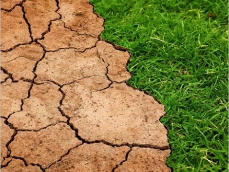 adaptació climàtica catalunya europa