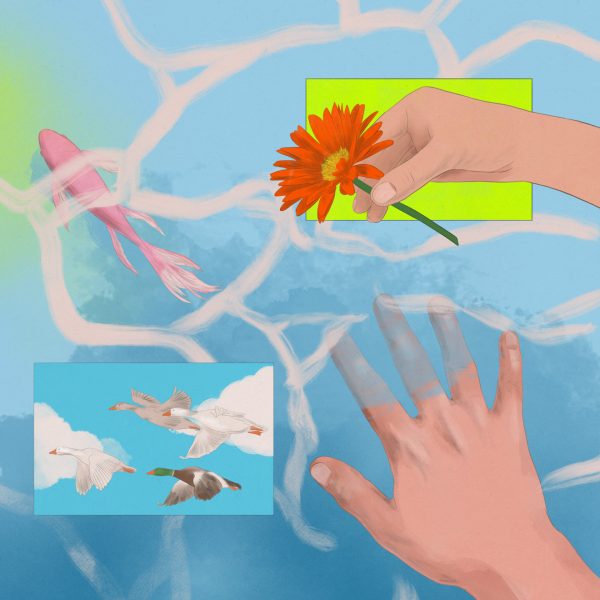Informe calidad del agua